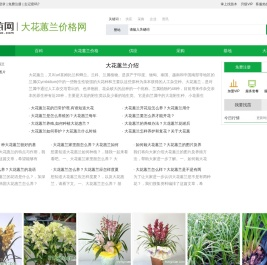 大花蕙兰价格_大花蕙兰图片_中国大花蕙兰网-农苗网
