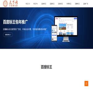 天下网-百度标王_抖音标王_百姓网标王_关键词排名包年推广