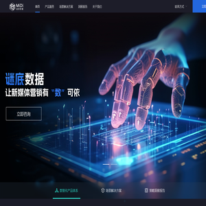 谜底数据MiDi—AI大数据咨询服务专家