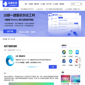 如何下载网页视频_常见问题_小鱼一键重装系统官网